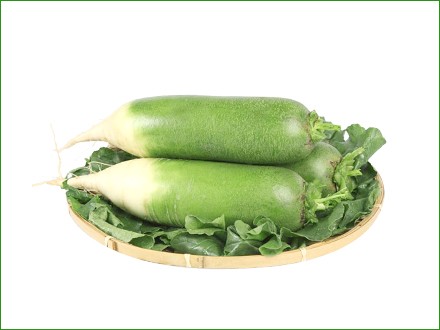 fresh green radish