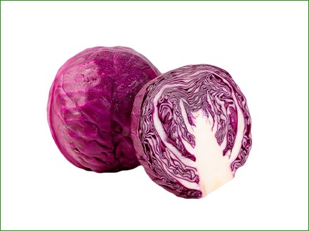 purple cabbage