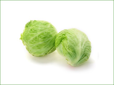 fresh lettuce