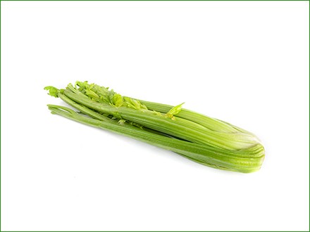 fresh celery