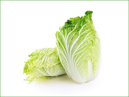 chinese cabbage 