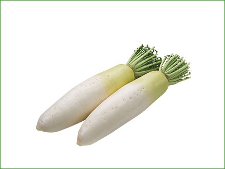 fresh white radish