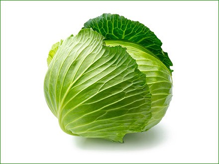 round cabbage