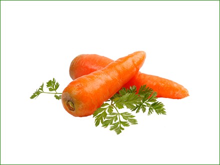 fresh carrot