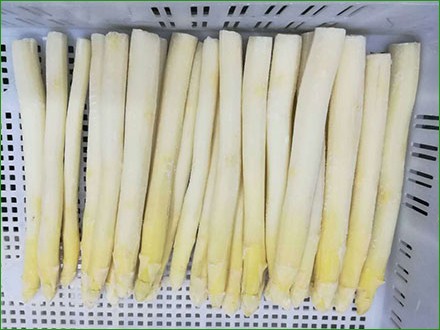 frozen asparagus