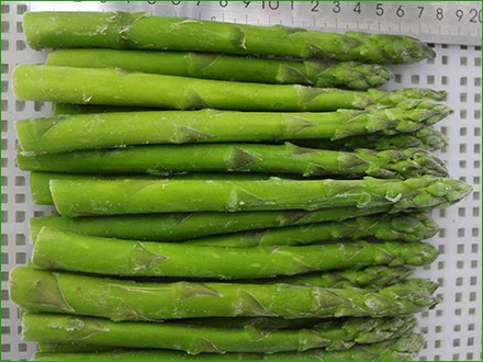 frozen asparagus