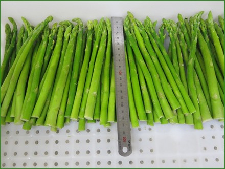 frozen asparagus