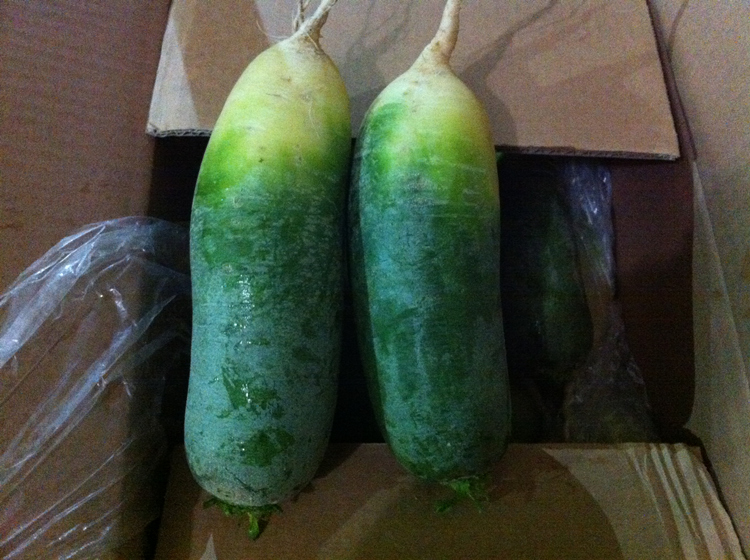 fresh green radish(图1)