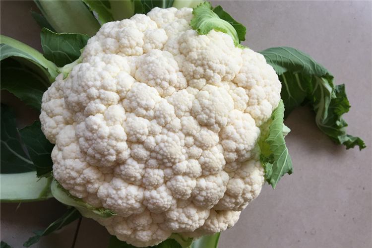 cauliflower(图1)