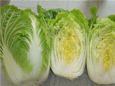 How should cabbage be preserved(图1)