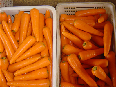 Carrots in multiple ways(图1)