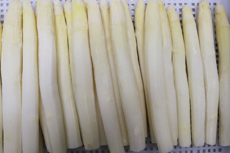 frozen asparagus(图1)