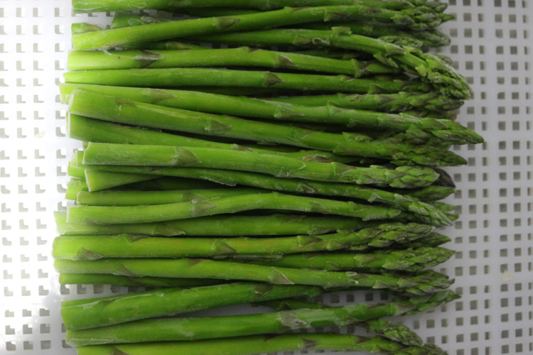 frozen asparagus(图1)