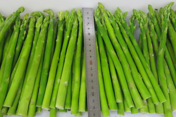 frozen asparagus(图1)