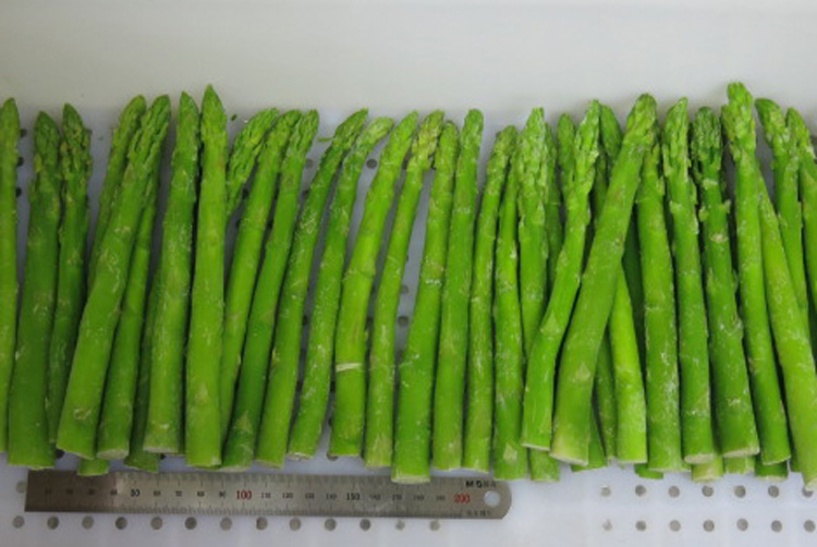 frozen asparagus(图1)