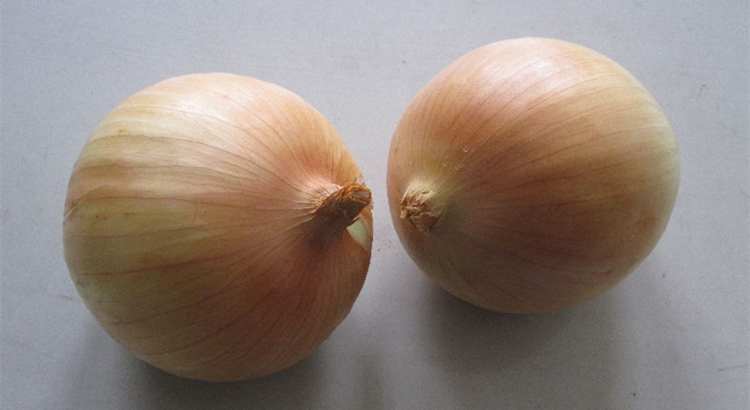 fresh yellow onion(图1)