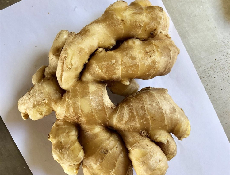 fresh ginger(图2)